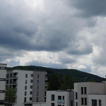 Apartament Pod Szyndzielnia, Debowiec Bielsko-Biala Exterior photo
