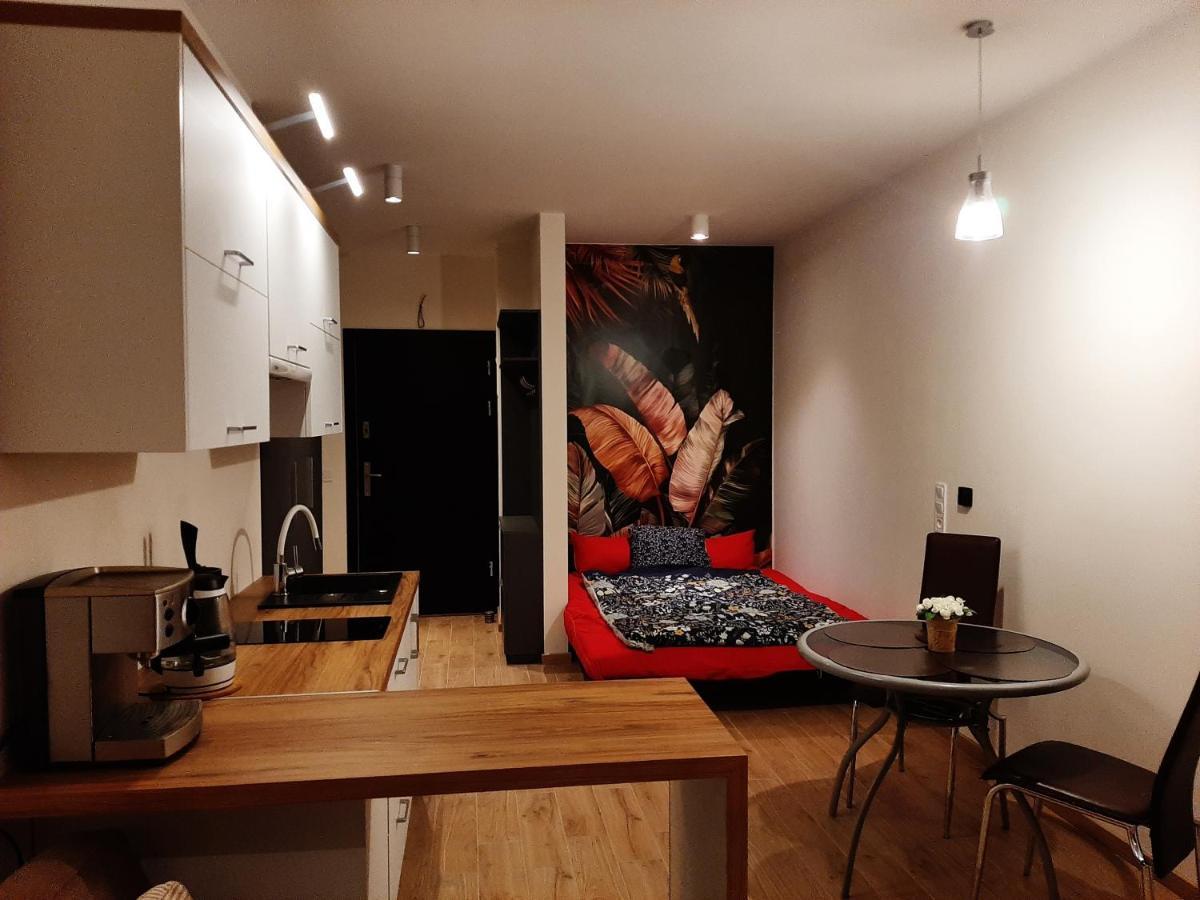 Apartament Pod Szyndzielnia, Debowiec Bielsko-Biala Exterior photo